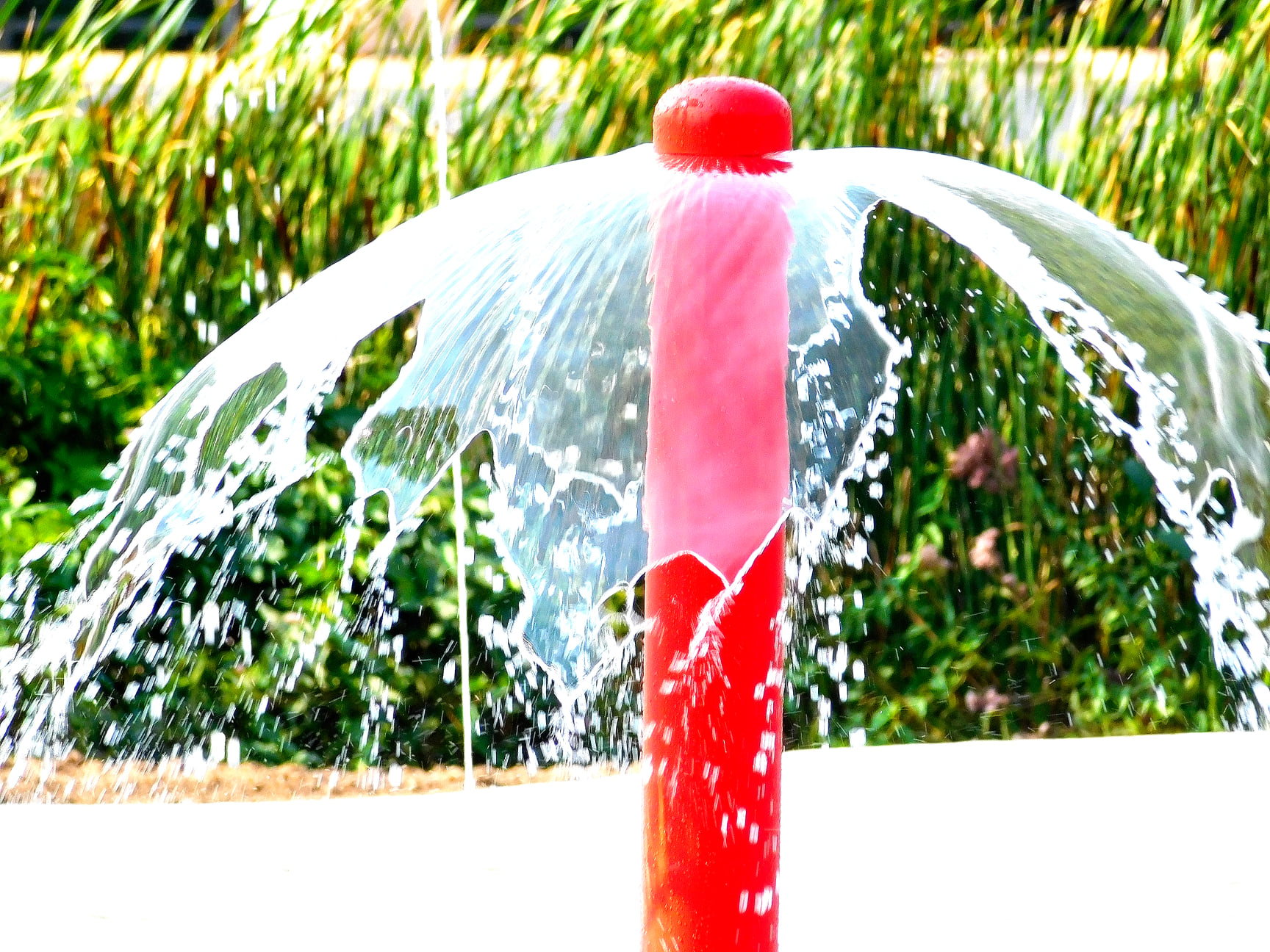 picture of water spraying from a spot at the splash pad